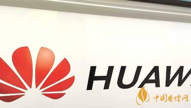 華為手機(jī)開(kāi)發(fā)者模式有什么用？-怎么打開(kāi)？