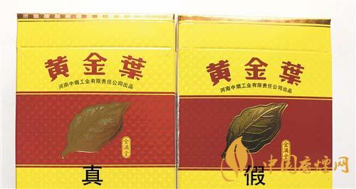 如何辨別黃金葉金滿堂真假？2020黃金葉真假辨別詳情對比