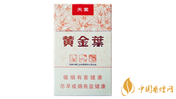 黃金葉天葉真?zhèn)卧趺幢鎰e？天葉真假如何看？