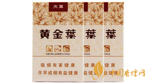 2020黃金葉天葉怎么樣？黃金葉大小天葉有什么不同