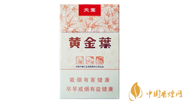 黃金葉天葉真假怎樣區(qū)分？黃金葉天葉真假識別