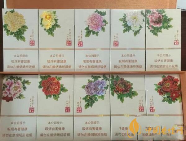 2021黃金葉姚黃牡丹多少錢 黃金葉姚黃牡丹洛陽細支多少錢