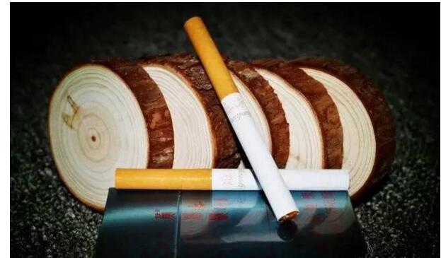 黃鶴樓游泳回歸，爺爺輩最喜愛的香煙品牌