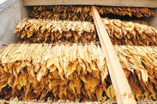 煙葉稅是什么，煙葉稅如何計算