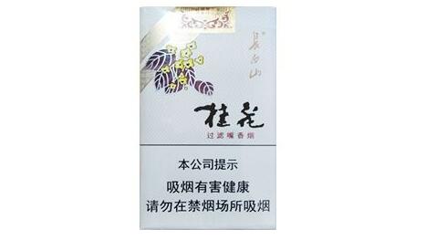 長白山(桂花)香煙價(jià)格表圖 長白山桂花煙多少錢