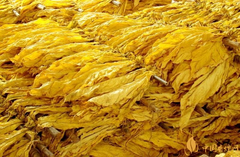 有機(jī)煙葉是什么，有機(jī)煙葉和普通煙葉的區(qū)別