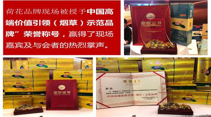 2018荷花煙問鼎新高端荷花獲得榮譽(yù)稱號四點成功因素