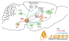 煙癮是什么 煙癮犯了怎么辦！