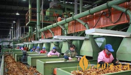 奮戰(zhàn)2020元春卷煙市場 需要從這三方面開始布局！